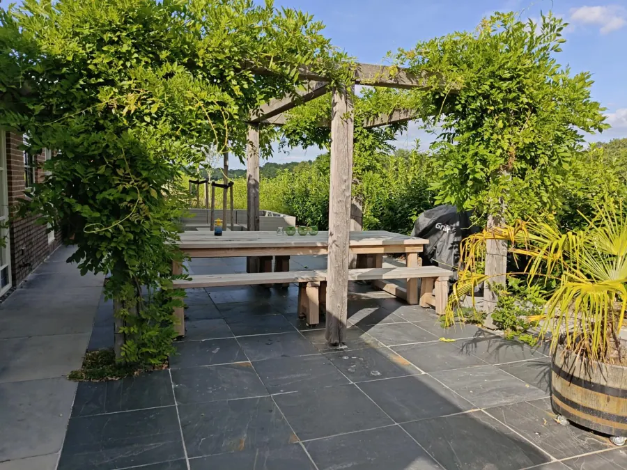 Terras met pergola, picknicktafel en barbecue
